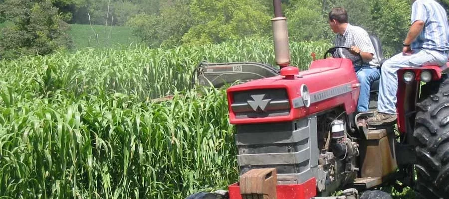 The Impact of Tractors on Somalia’s Staple Crops - Sorghum and Maize