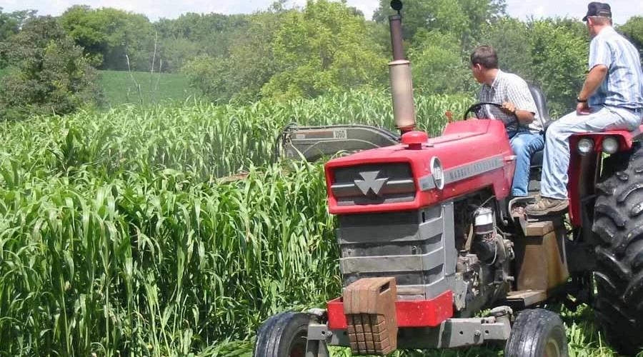 The Impact of Tractors on Somalia’s Staple Crops - Sorghum and Maize