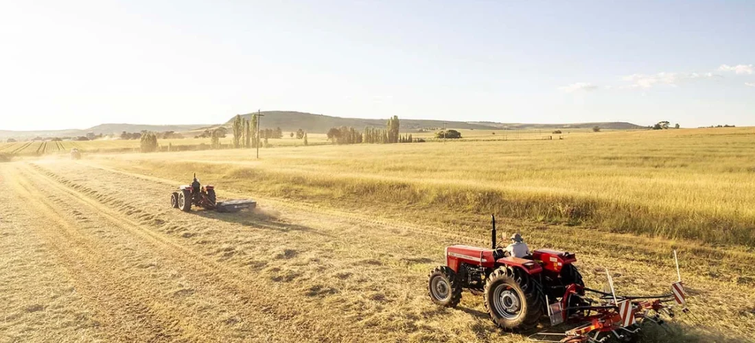 Sorghum and Maize Farming with Tractors in Somalia